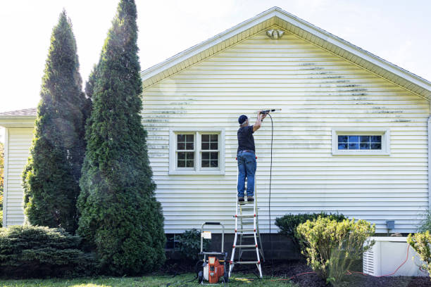 Best Brick and Stone Cleaning in Front Royal, VA